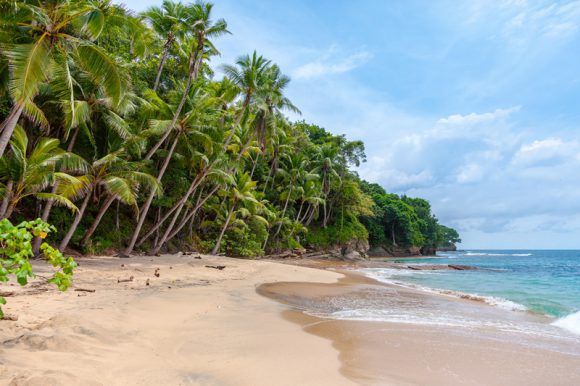 Paraíso en el Caribe