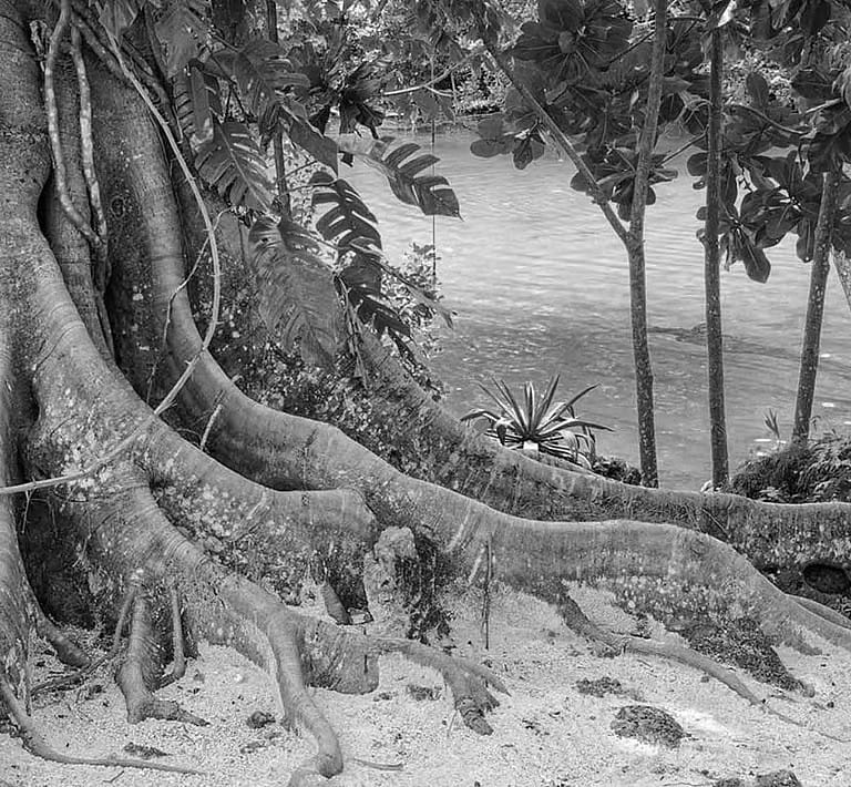 Vanuatu-3-1400x1296-1